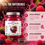 Sea Moss & Chia Seed – Premium 5-Flavor Bundle (16oz Jars) - Image 4