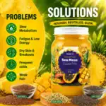 Nutrient-Packed Sea Moss SuperMix – Tropical 5-in-1 Superfood 16 Oz - Image 4