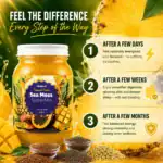 Nutrient-Packed Sea Moss SuperMix – Tropical 5-in-1 Superfood 16 Oz - Image 3