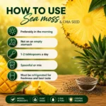 Halevit Sea Moss & Chia Gel Trio – 3 Superfood Flavors in One Pack - Image 6
